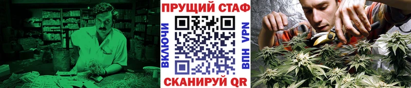 Сколько стоит Снежногорск Метадон  Канабис  Alpha-PVP  Мефедрон  ГАШ 