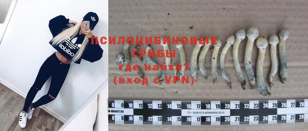 индика Алзамай