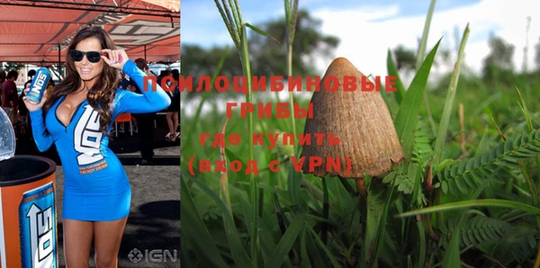 прущая мука Абаза
