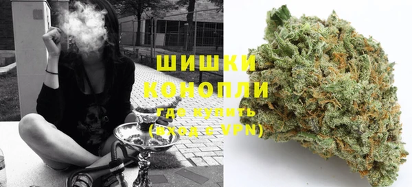 индика Алзамай