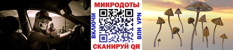 даркнет сайт  Снежногорск  Галлюциногенные грибы Cubensis 