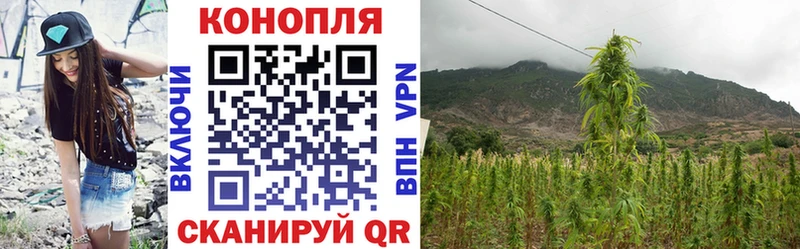 Бошки марихуана SATIVA & INDICA  сколько стоит  Снежногорск 